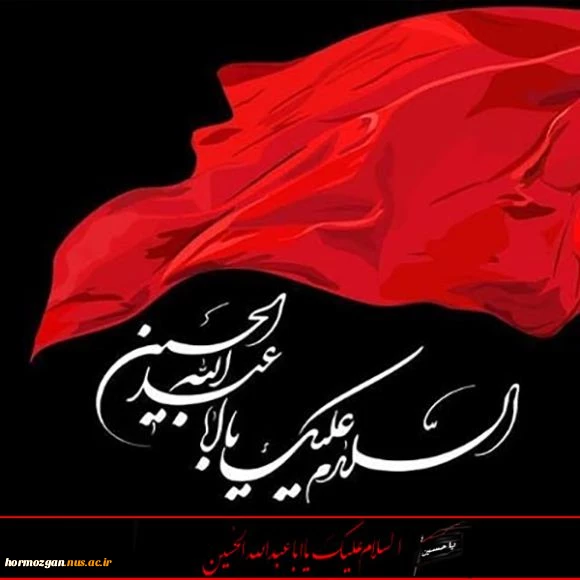 image-profile-moharam-ashora-tasoa-tasliat-shahadat-201809091859713-11