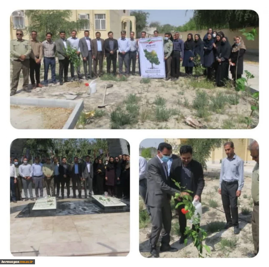 کاشت نهال به مناسبت هفته درختکاری در دانشگاه فنی و حرفه‌ای واحد استان هرمزگان 2