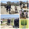 کاشت ۵۶ نهال مثمر و ۲۰ درختچه و گل زینتی به مناسبت روز درختکاری توسط اساتید ، کارکنان و فرزندان آن‌ها  (اهدایی کارکنان مرکز ) 2