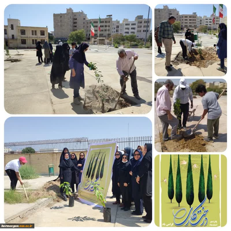 کاشت ۵۶ نهال مثمر و ۲۰ درختچه و گل زینتی به مناسبت روز درختکاری توسط اساتید ، کارکنان و فرزندان آن‌ها  (اهدایی کارکنان مرکز ) 2