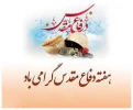 هفته دفاع مقدس گرامی باد 2