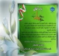 پیام تبریک جناب آقای مهدی مصلحی رئیس دانشگاه ملی مهارت استان هرمزگان