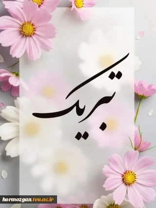 افتخار آفرینی دانشجویان دانشگاه ملی مهارت واحد استانی هرمزگان  در سی و سومین جشنواره فرهنگی هنری قرآن و عترت