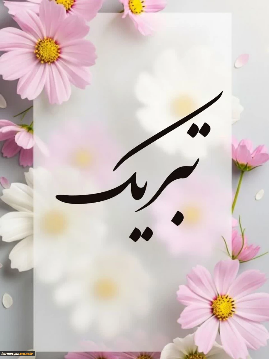 افتخار آفرینی دانشجویان دانشگاه ملی مهارت واحد استان هرمزگان  در سی و سومین جشنواره فرهنگی هنری قرآن و عترت 2